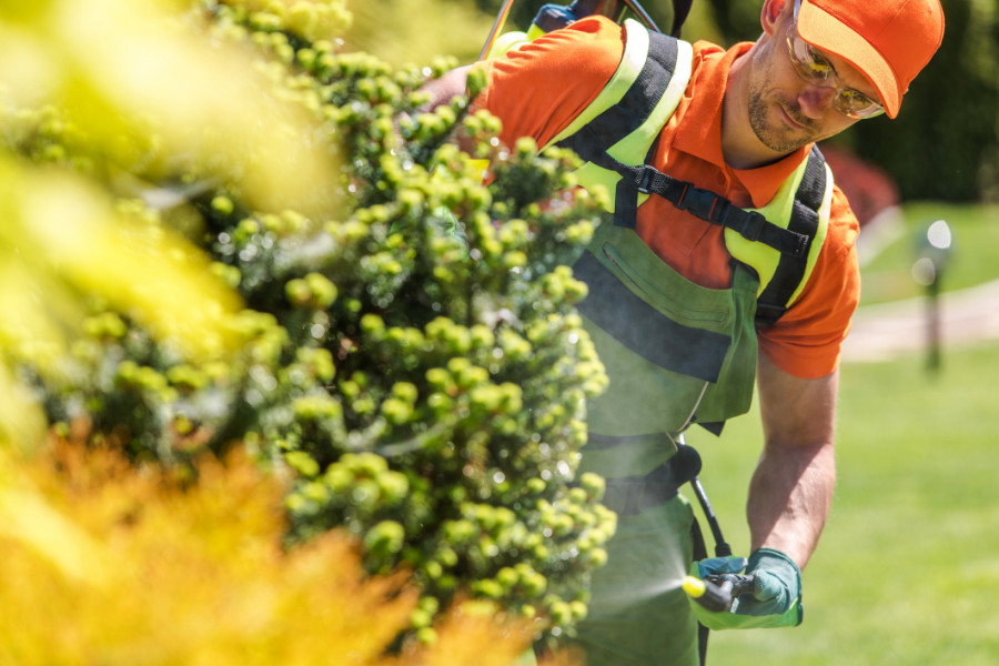 Fertilizing garden